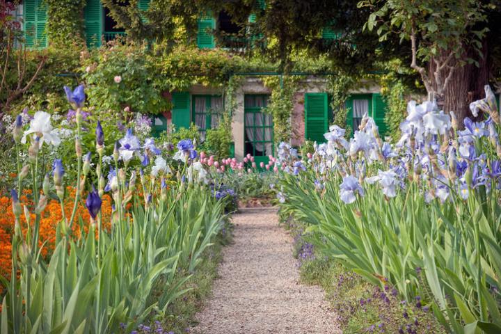 a group of people in a garden